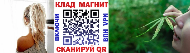 Наркота Шахунья Псилоцибиновые грибы  Каннабис  Альфа ПВП  Меф  Гашиш 