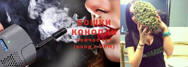 дмт Осташков