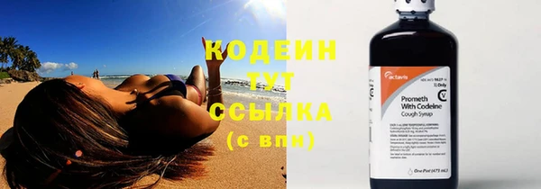 дмт Осташков