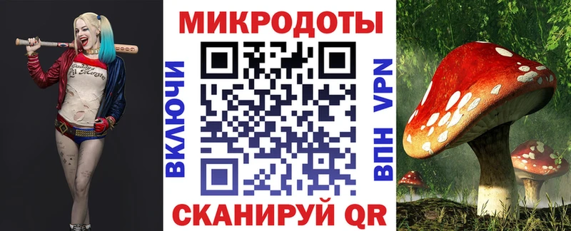 наркотики  MEGA онион  Галлюциногенные грибы Psilocybe  Шахунья 